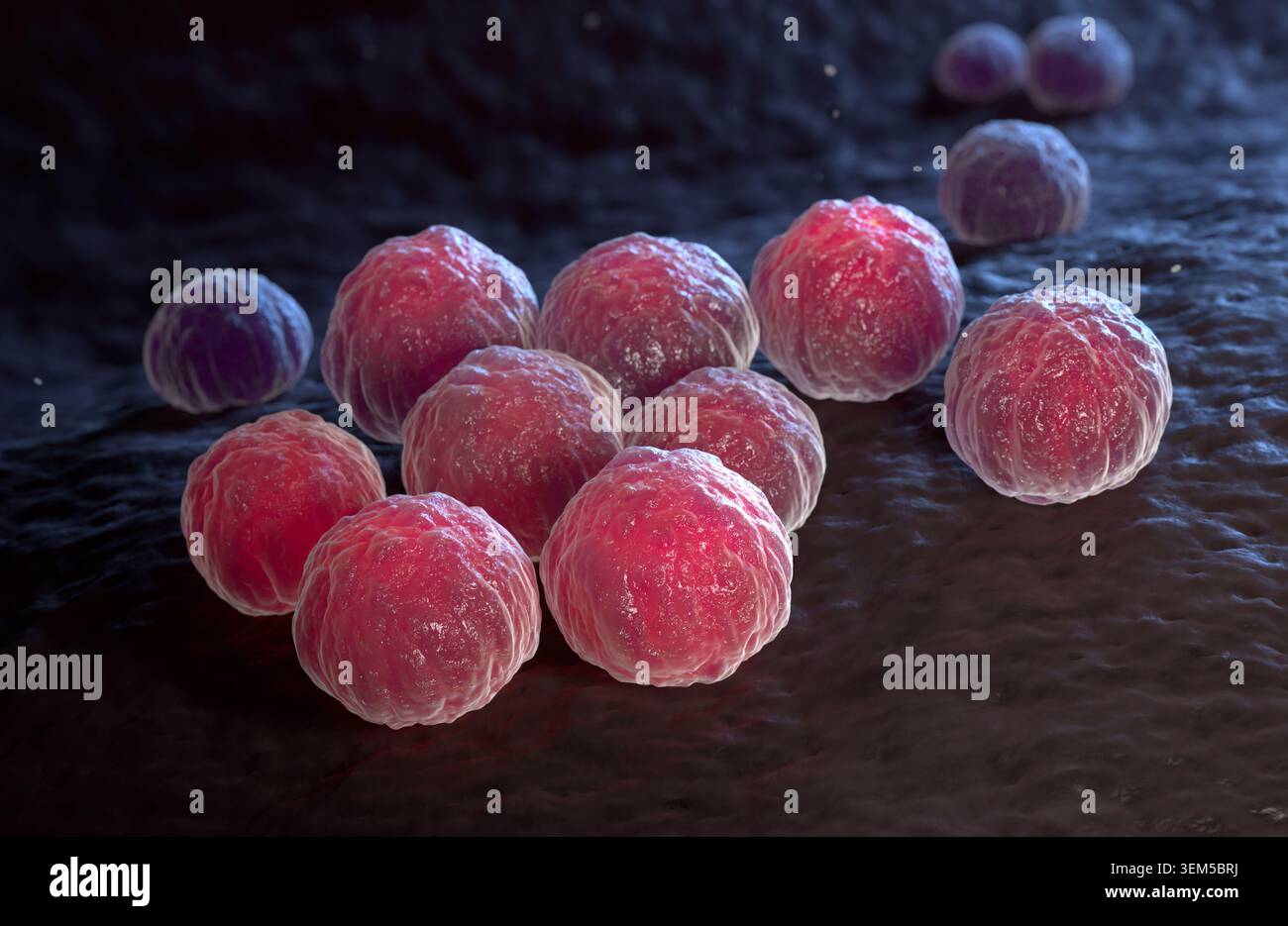 Chlamydia In Humans Chlamydia trachomatis, an obligate intracellular human pathogen, is one ...
