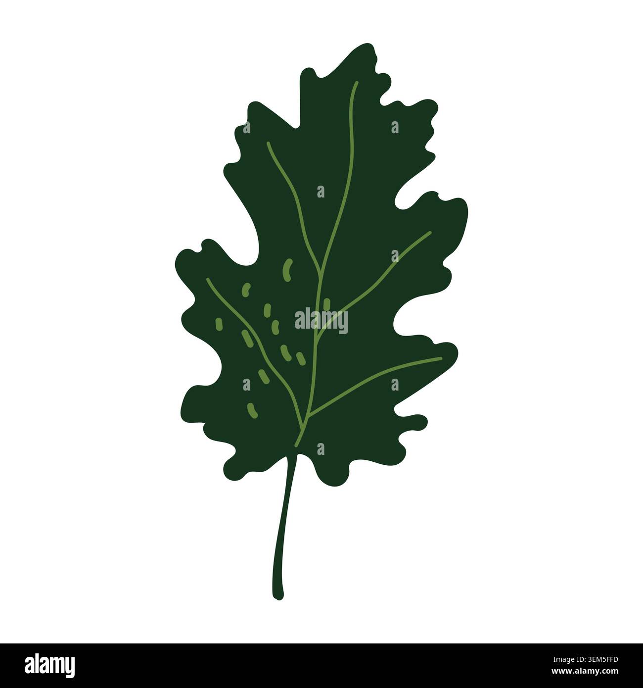 Dark green oak leaf vector autumn illustration isolated on white Stock Vector