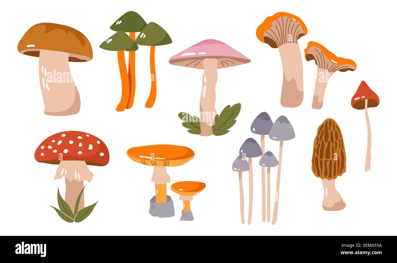 Hand drawn mushroom set vector cute forest fungi elements collection Stock Vector