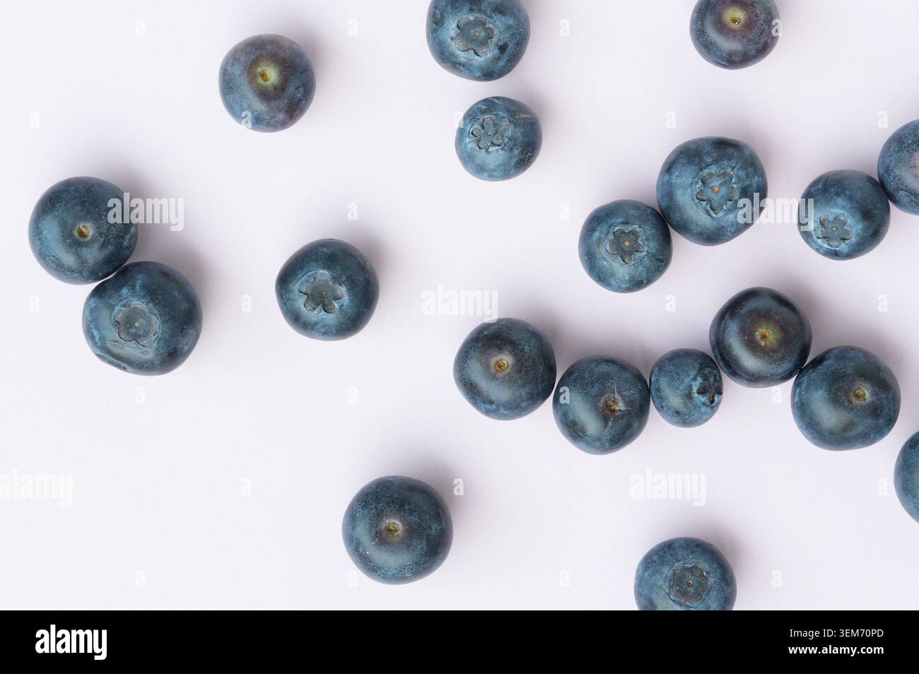 Blueberries isolated on white background. Flat lay, top view. Stock Photo
