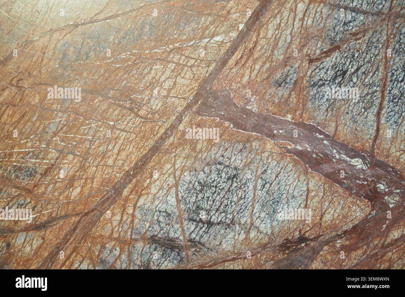 Patterns and textures on a rocky surface in nature Stock Photo