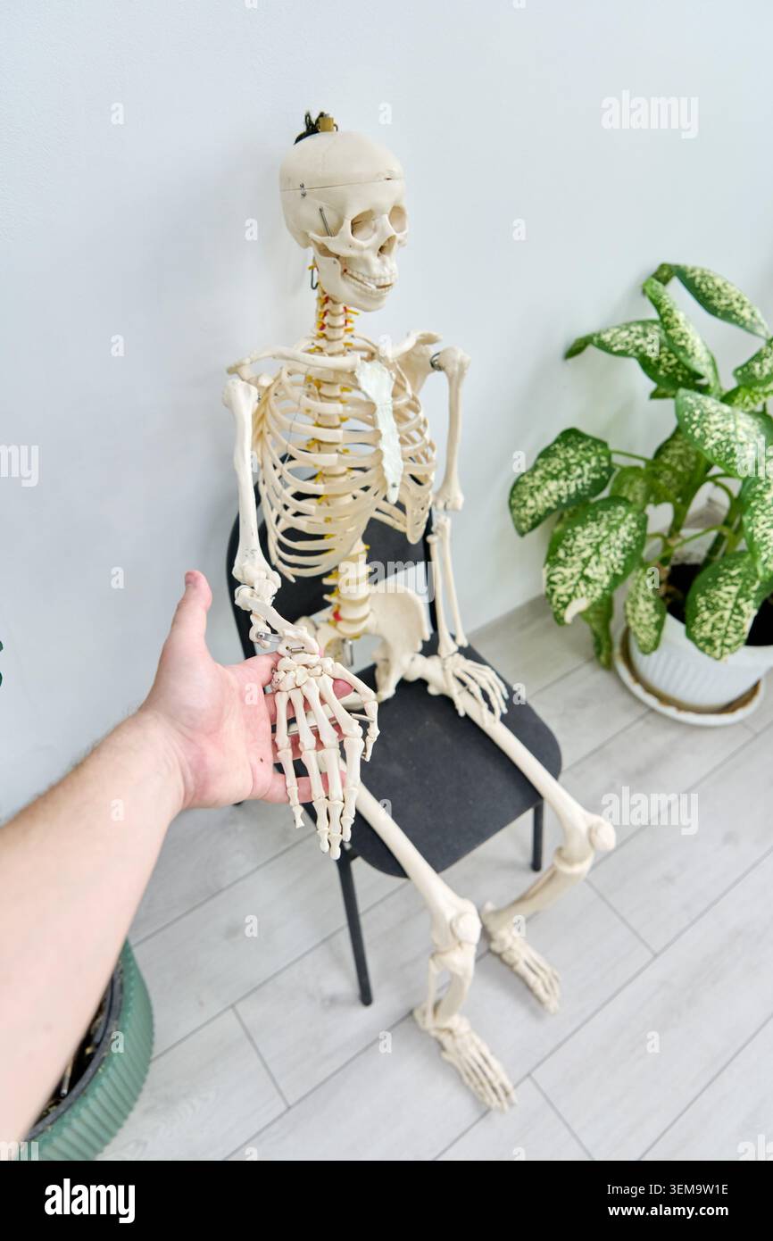 Skeleton chair hi-res stock photography and images - Alamy