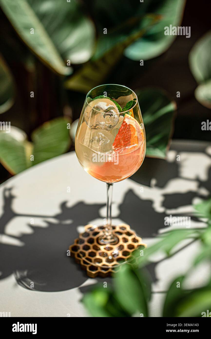 Refreshing citrus cocktail with grapefruit and mint Stock Photo
