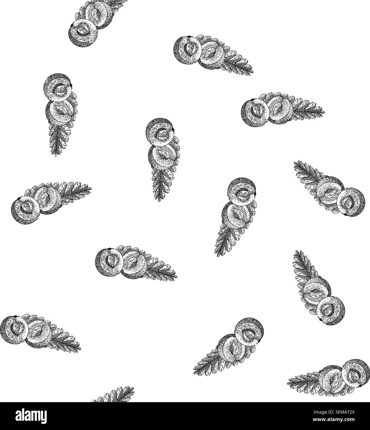 seamless pattern indian amla sketch hand drawn Stock Vector