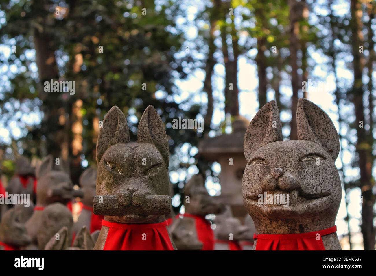 Low angle view of two expressive stone Kitsune statues looking towards the sky. Stock Photo