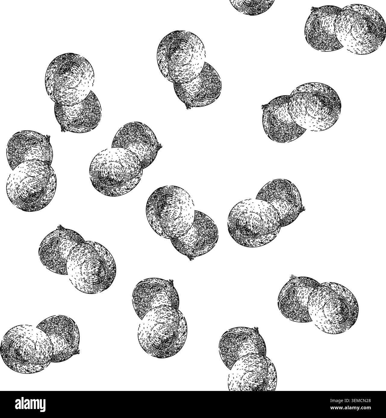 seamless pattern organic longan fruit sketch hand drawn Stock Vector