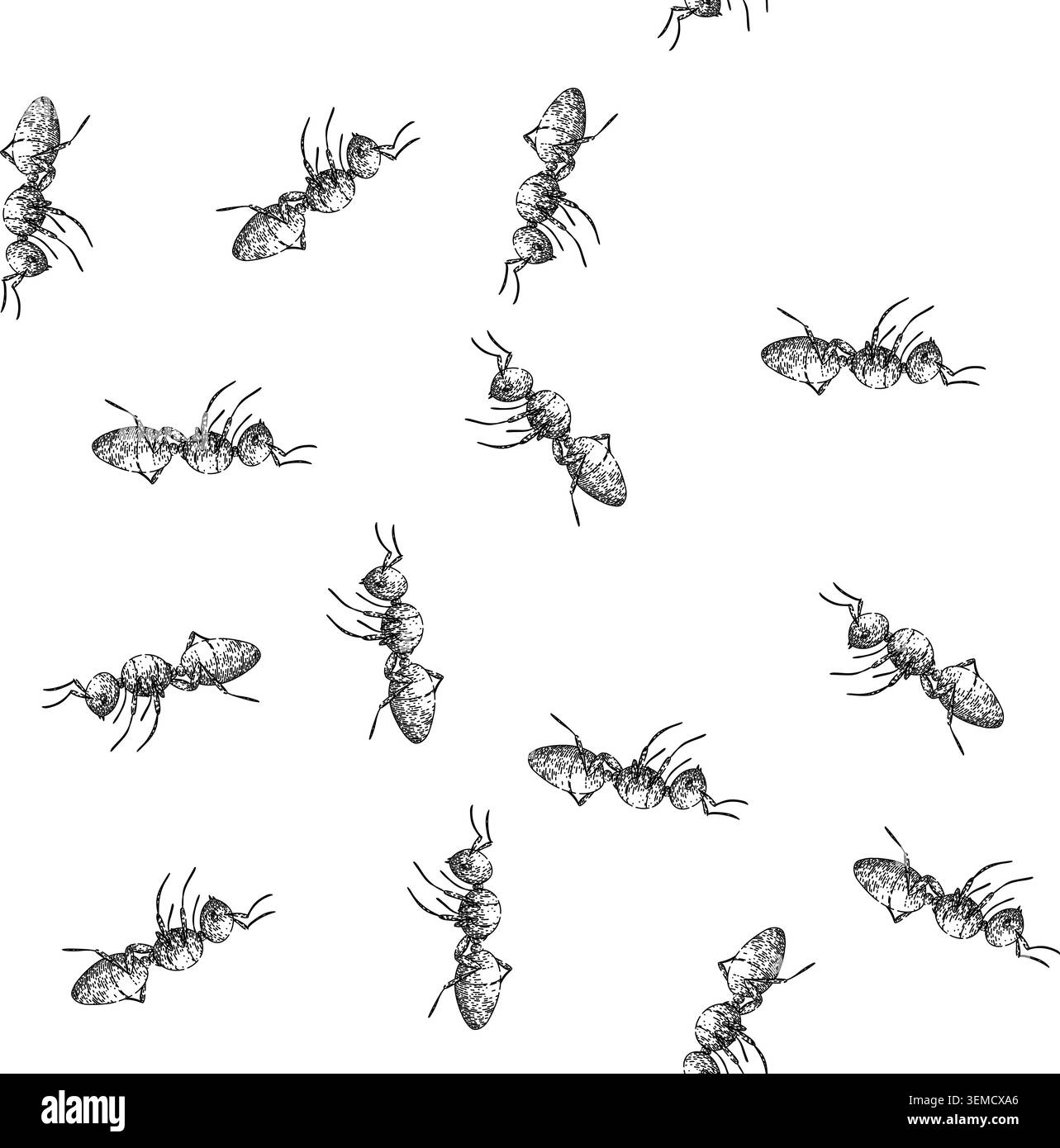 seamless pattern queen ant sketch hand drawn Stock Vector