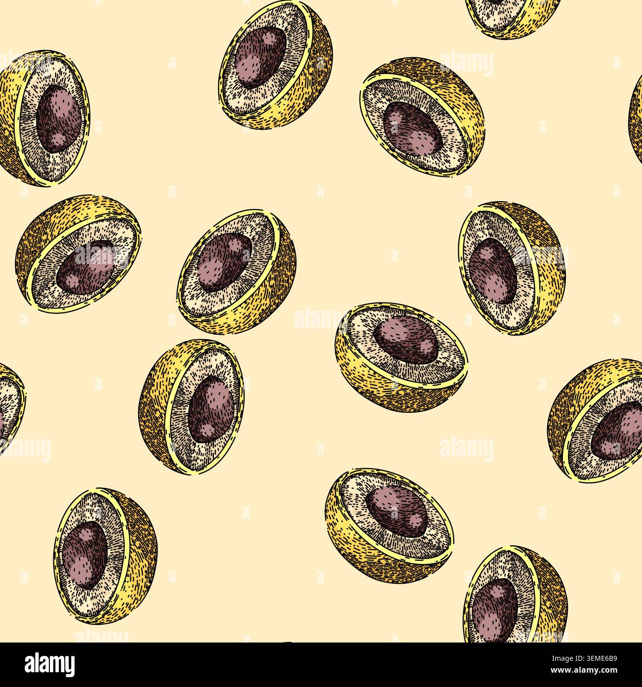 pattern ripe longan fruit sketch hand drawn Stock Vector