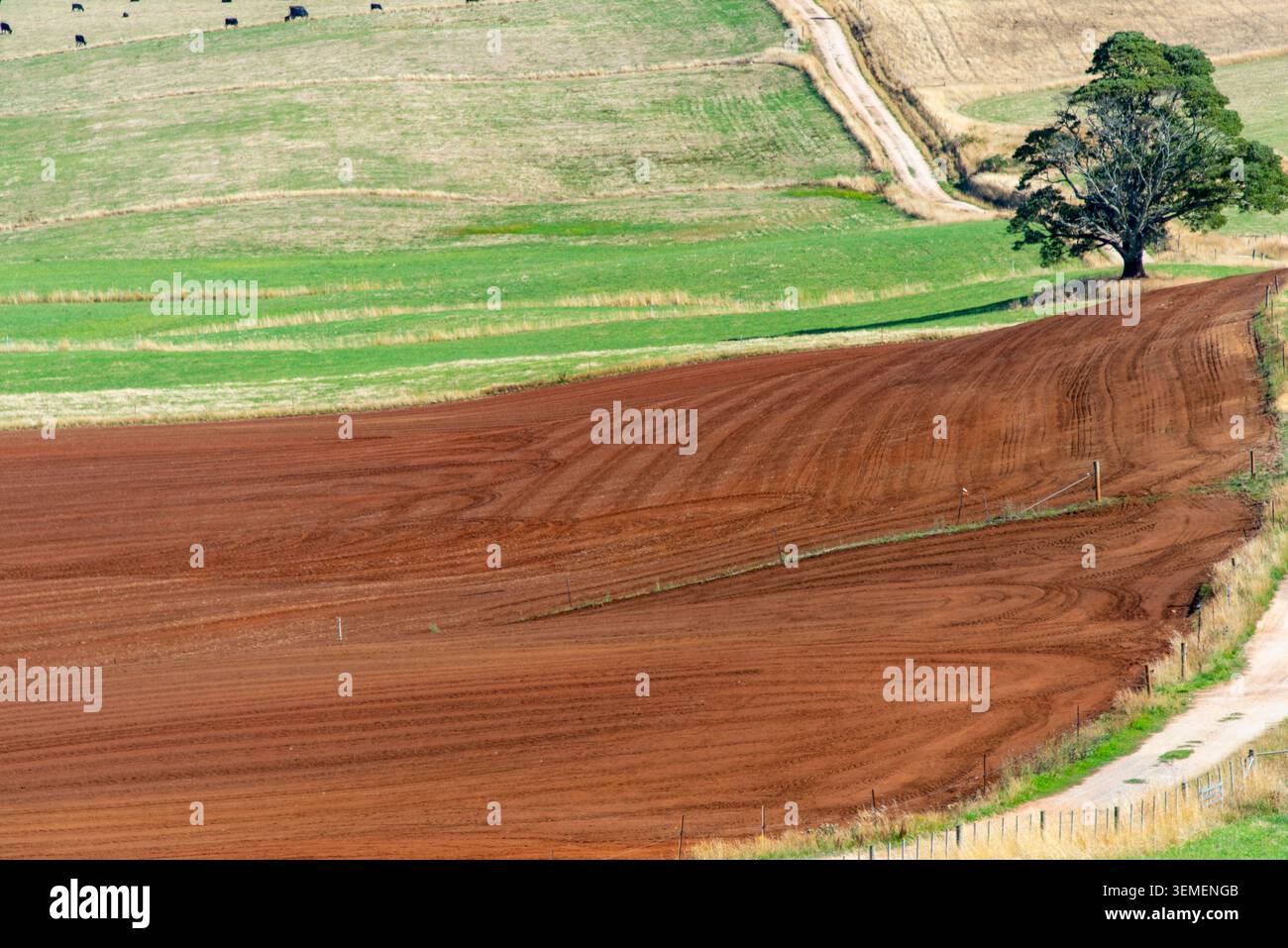 Iron rich red soil hi-res stock photography and images - Alamy