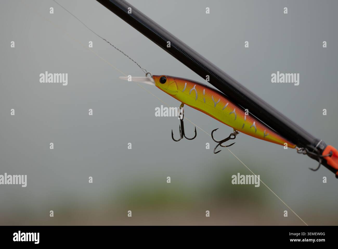 dobyns champion extreme 742 spinning rod Dobyns Champion XP Spinning Rods