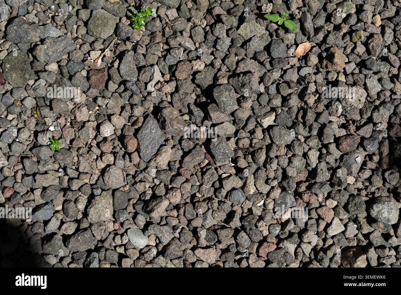 Small pebbles beach or river stones. Seamless texture background. Graphic resource material Stock Photo