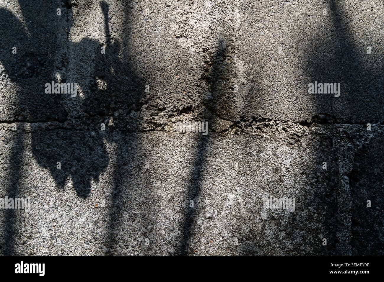 Abstract old wall texture with hard light of tropical tree leaf shadow, grunge rough stone grainy background. Graphic resource material Stock Photo