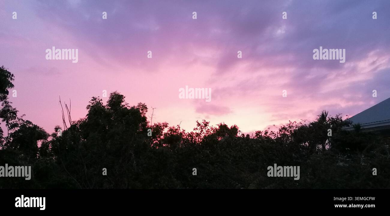 Colorful sunset over Jan Thiel, Curaçao, with pink and purple clouds glowing above tropical vegetation at dusk - Smartphone Captured Stock Image