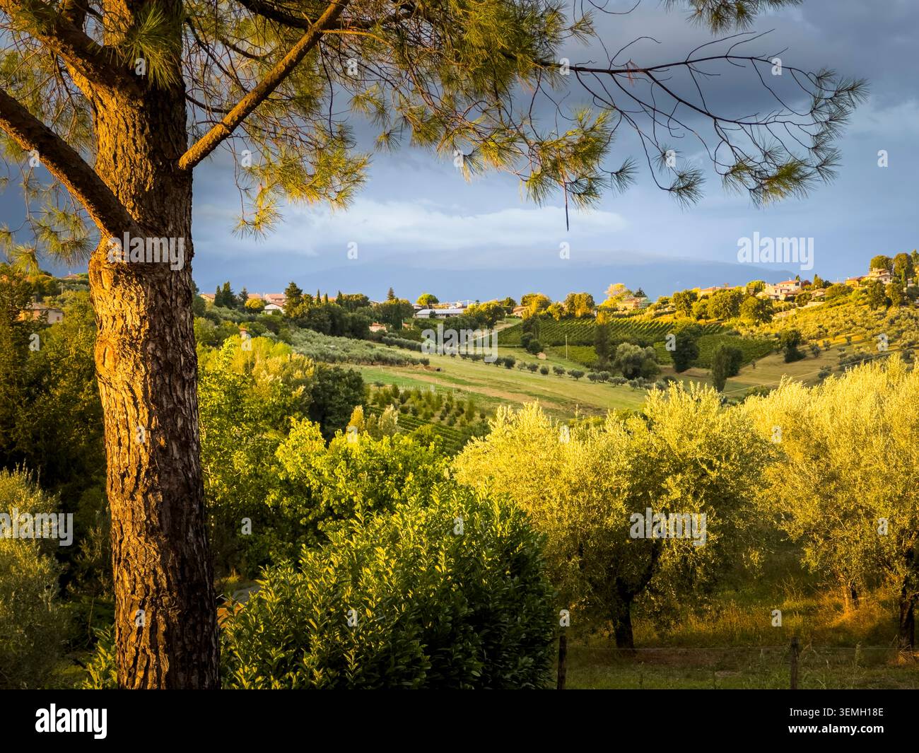 Verdant hills hi-res stock photography and images - Alamy