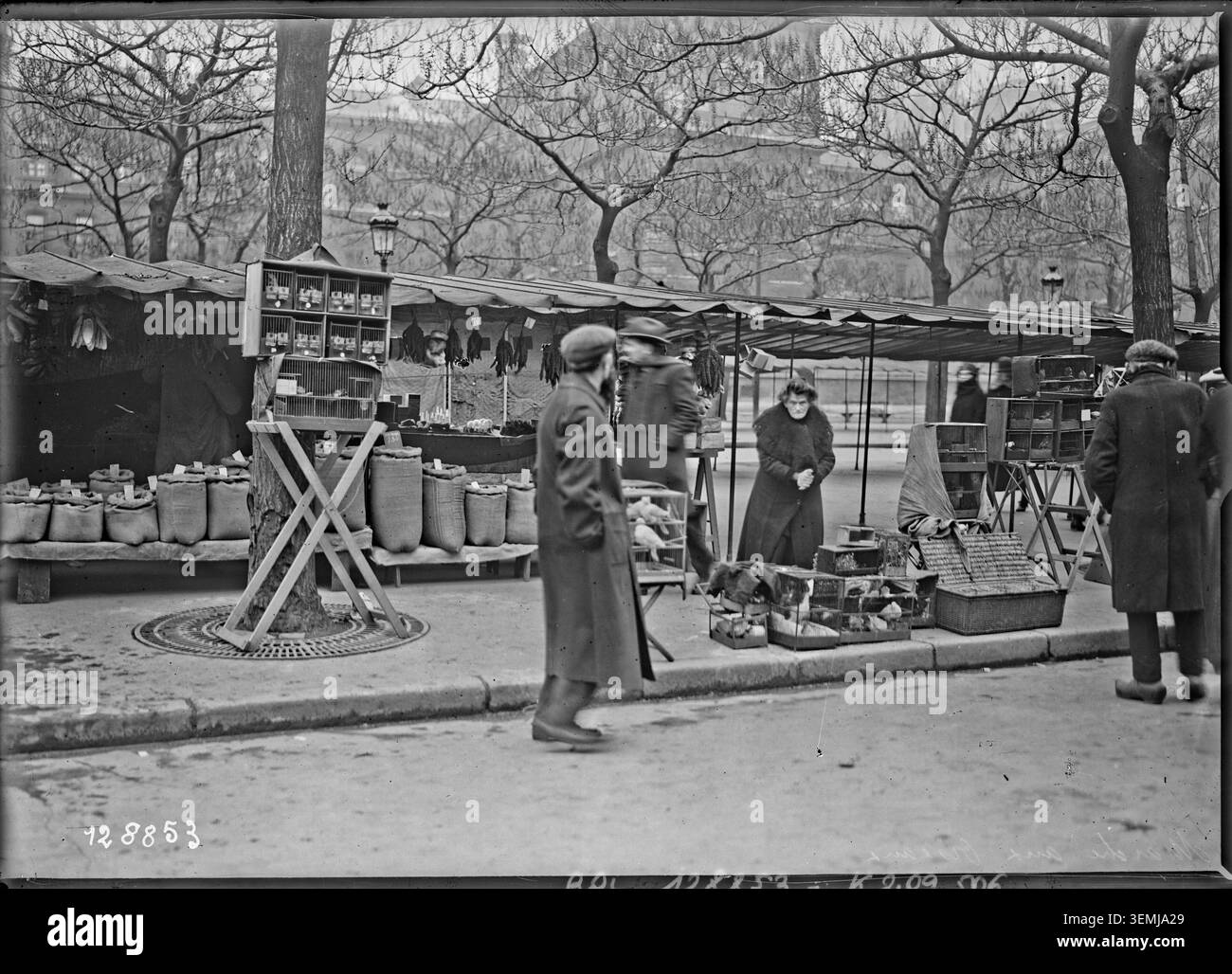 In 1928, a bird market was held at Place Louis Lépine and Quai de Corse on Île de la Cité in Paris. The press photograph records commercial activity and public participation in urban trading. Stock Photo