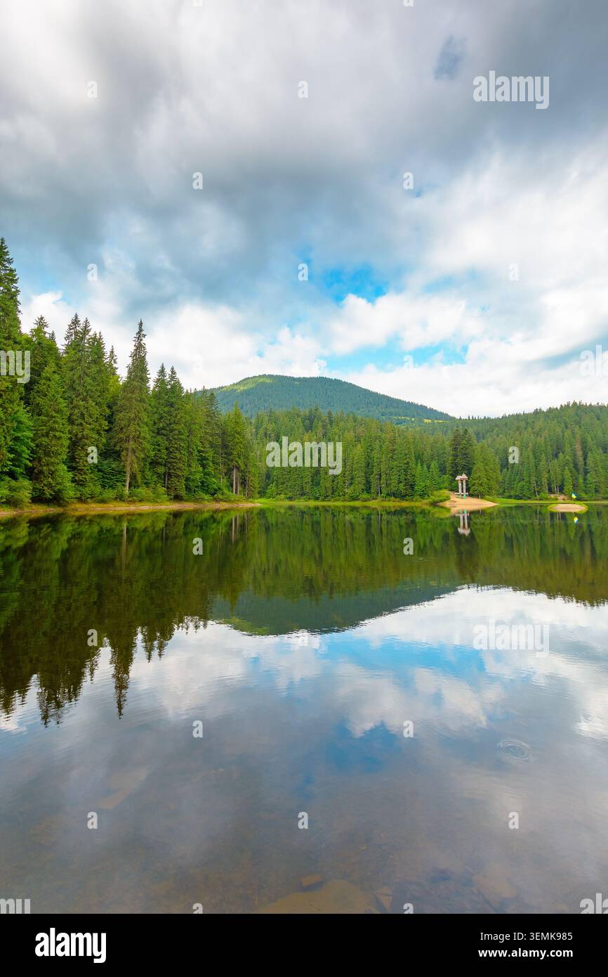 landscape by the lake on cloudy morning. coniferous forest near the lake and the forest mountain. awesome summer view of carpathian mountain reflectio Stock Photo