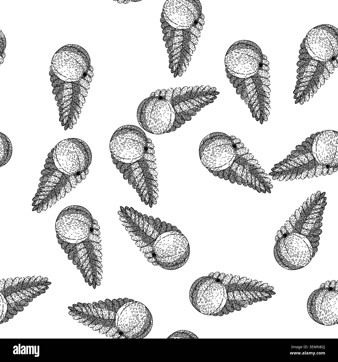 seamless pattern berry amla sketch hand drawn Stock Vector