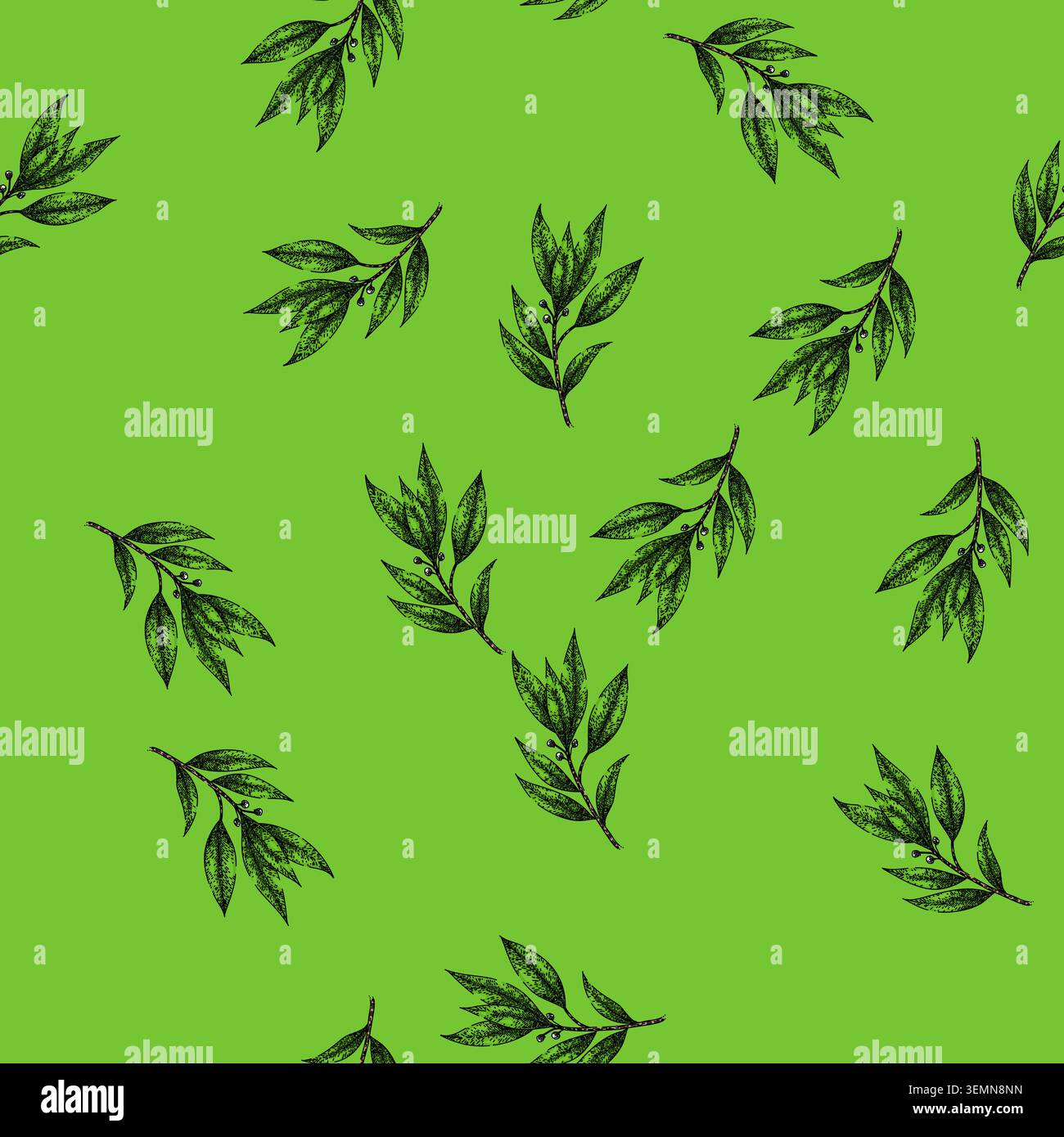 pattern bay leaf herb sketch hand drawn Stock Vector