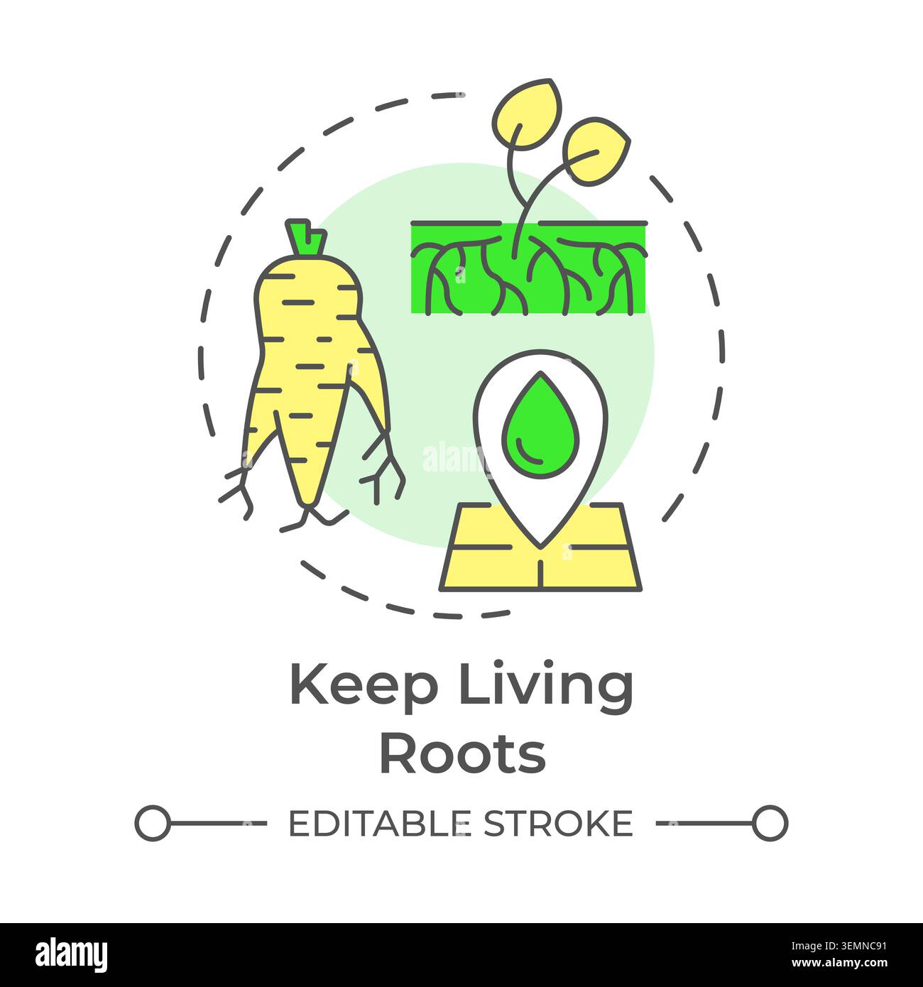 Keep living roots multi color concept icon Stock Vector