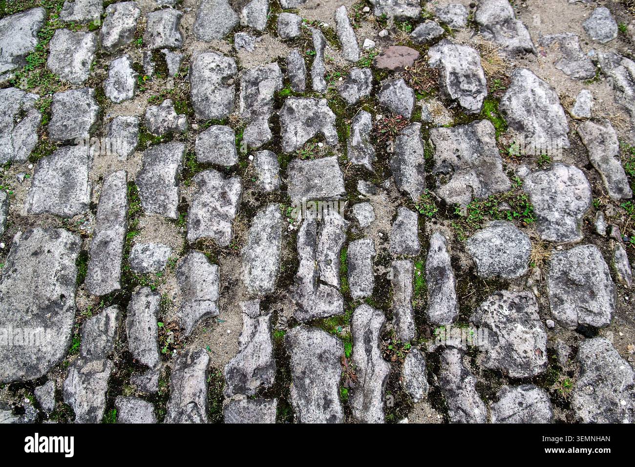 Ancient stones with small grass growing between them outdoors. Selective focus Stock Photo