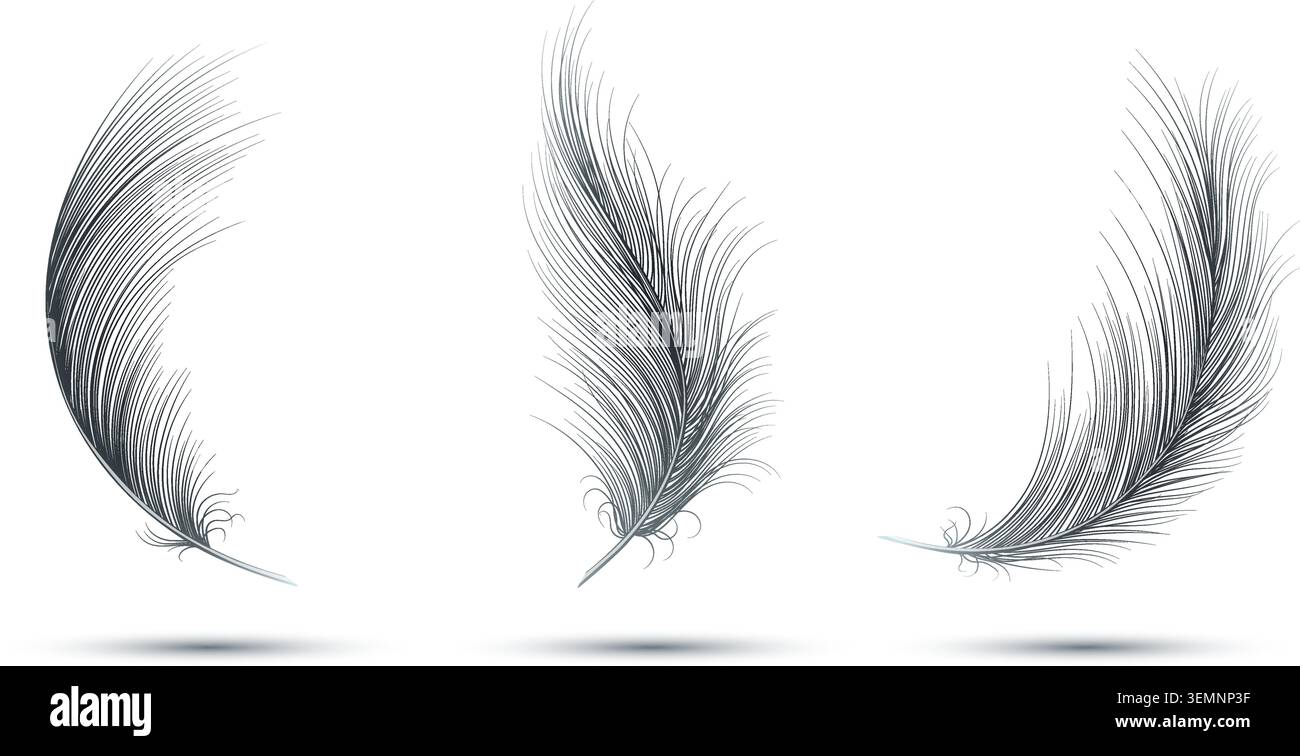 Flying realistic bird feathers Stock Vector
