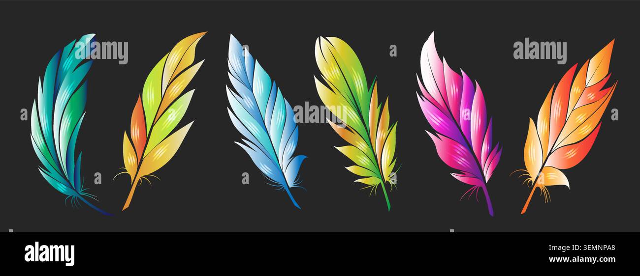 Colorful bird feathers on black Stock Vector