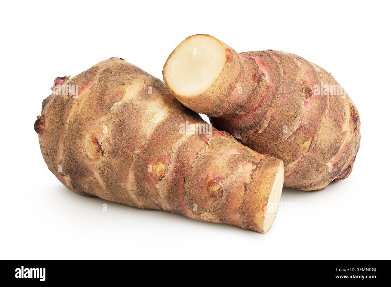Jerusalem artichoke isolated on white background Stock Photo