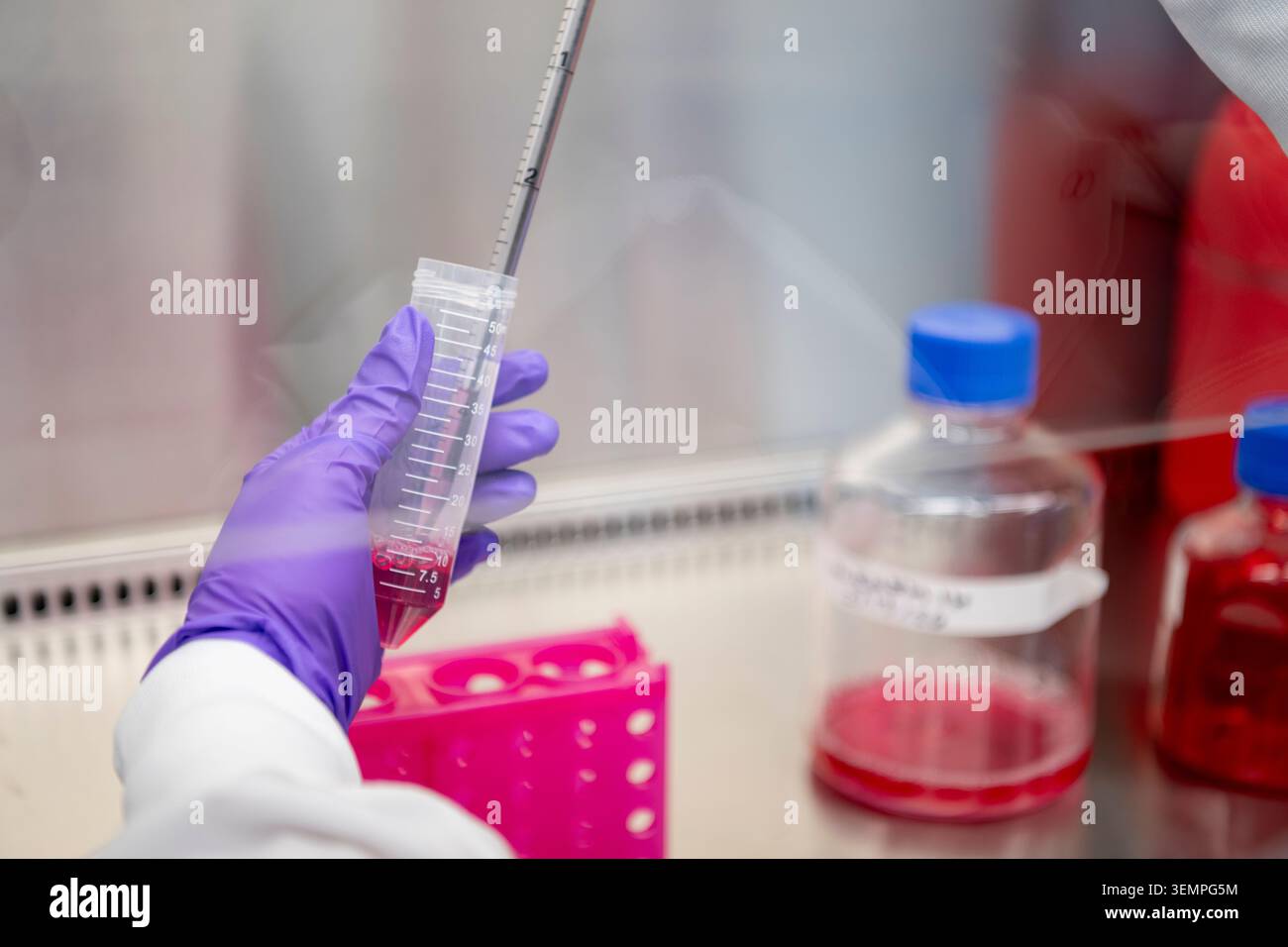 Scientist pipetting a sample in a laboratory Stock Photo
