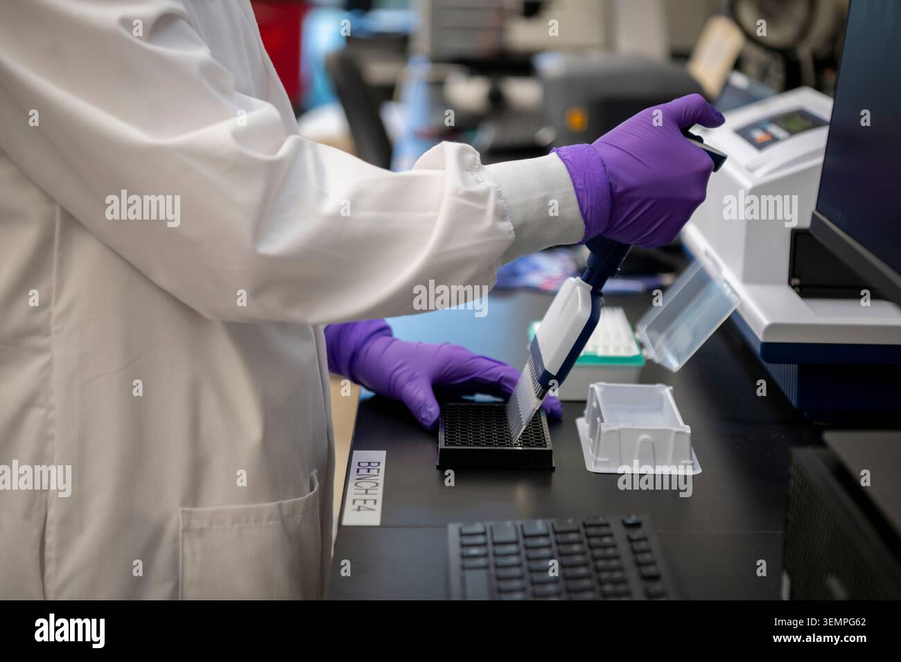Scientist using a multi channel pipette in a laboratory Stock Photo