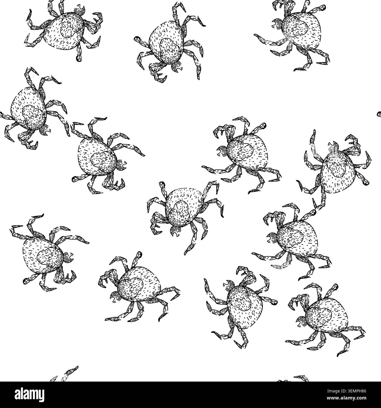 seamless pattern lyme tick sketch hand drawn Stock Vector
