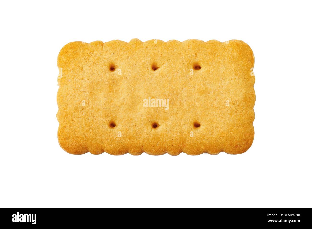 Golden baked rectangular biscuit cracker with small holes on a white background Stock Photo