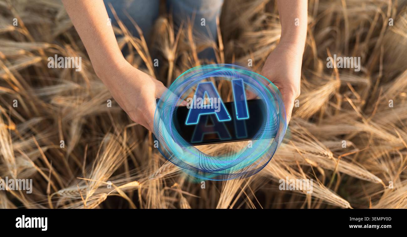 Farmer uses Artificial Intelligence for data analysing. Smart farming concept Stock Photo