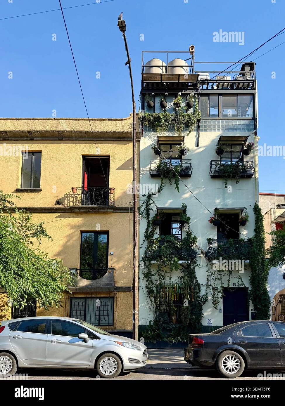 Vines and balcony plants cover a residential facade with rooftop water tanks in Roma Norte, Mexico City, Mexico. - Smartphone Captured Stock Image