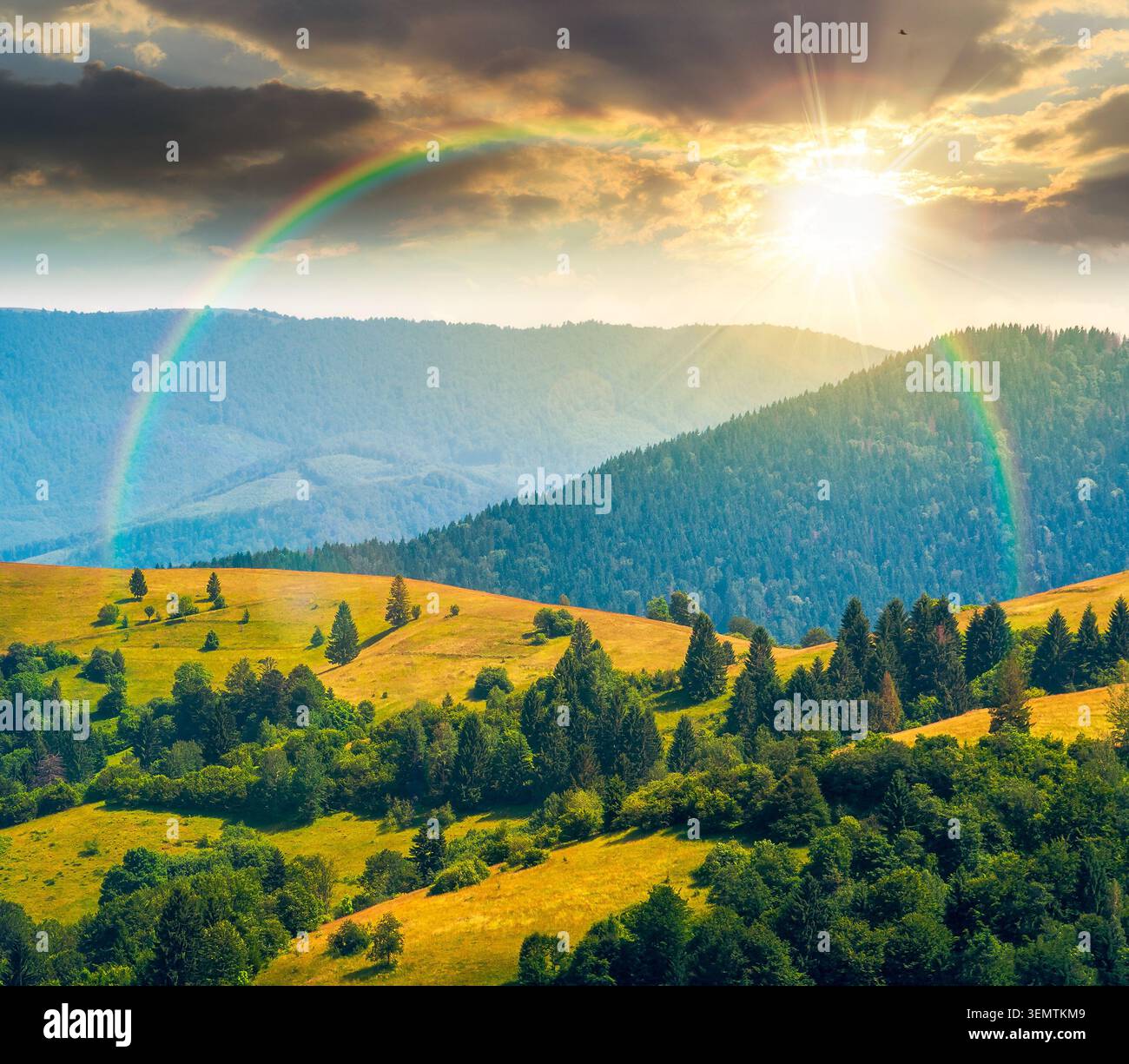 sunset over agricultural field on hillside in mountains near village. summer evening. green carpathian mountain landscape. narrow view. remote alpine Stock Photo