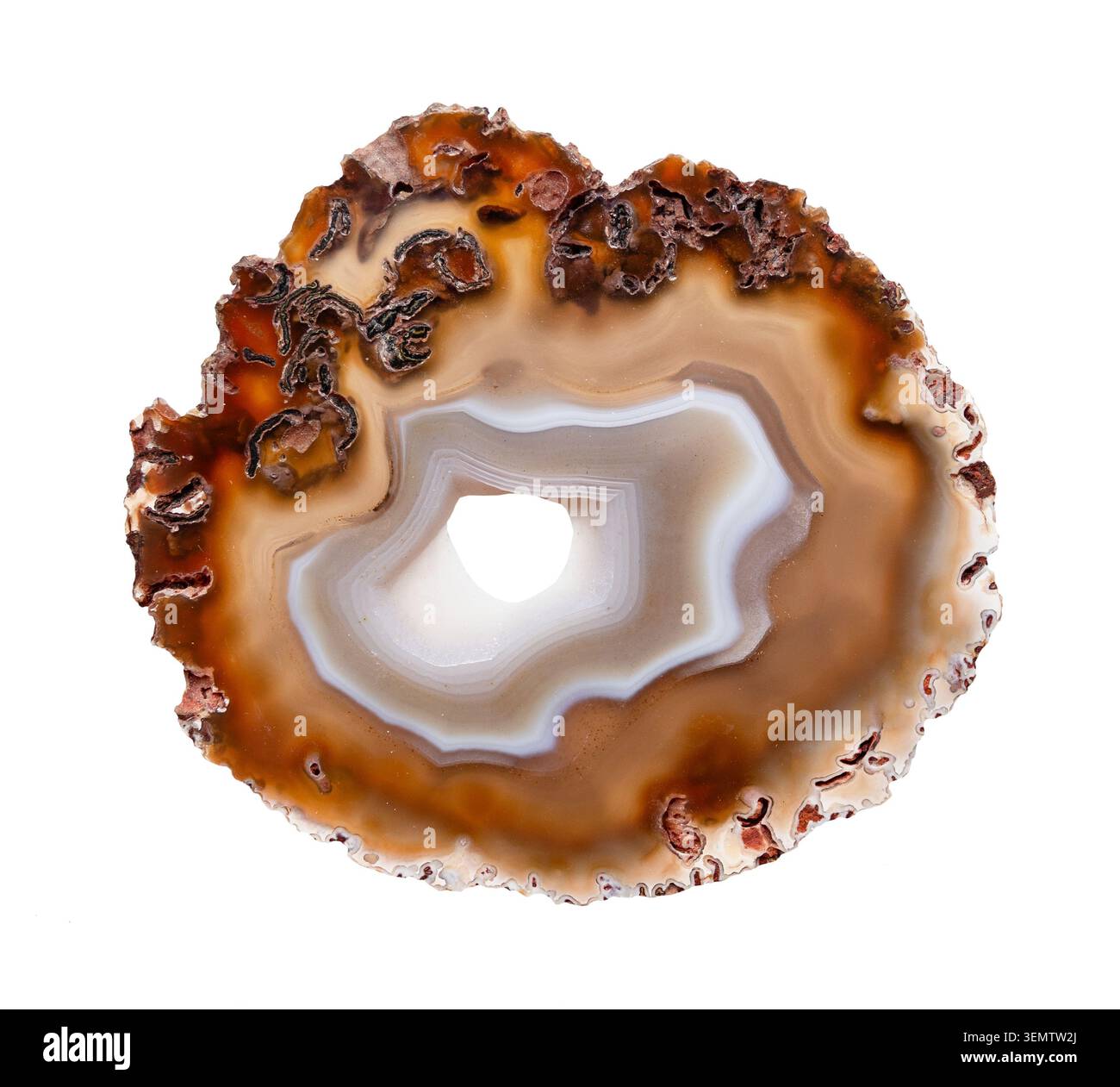 polished agate slice with geode cutout on white background Stock Photo