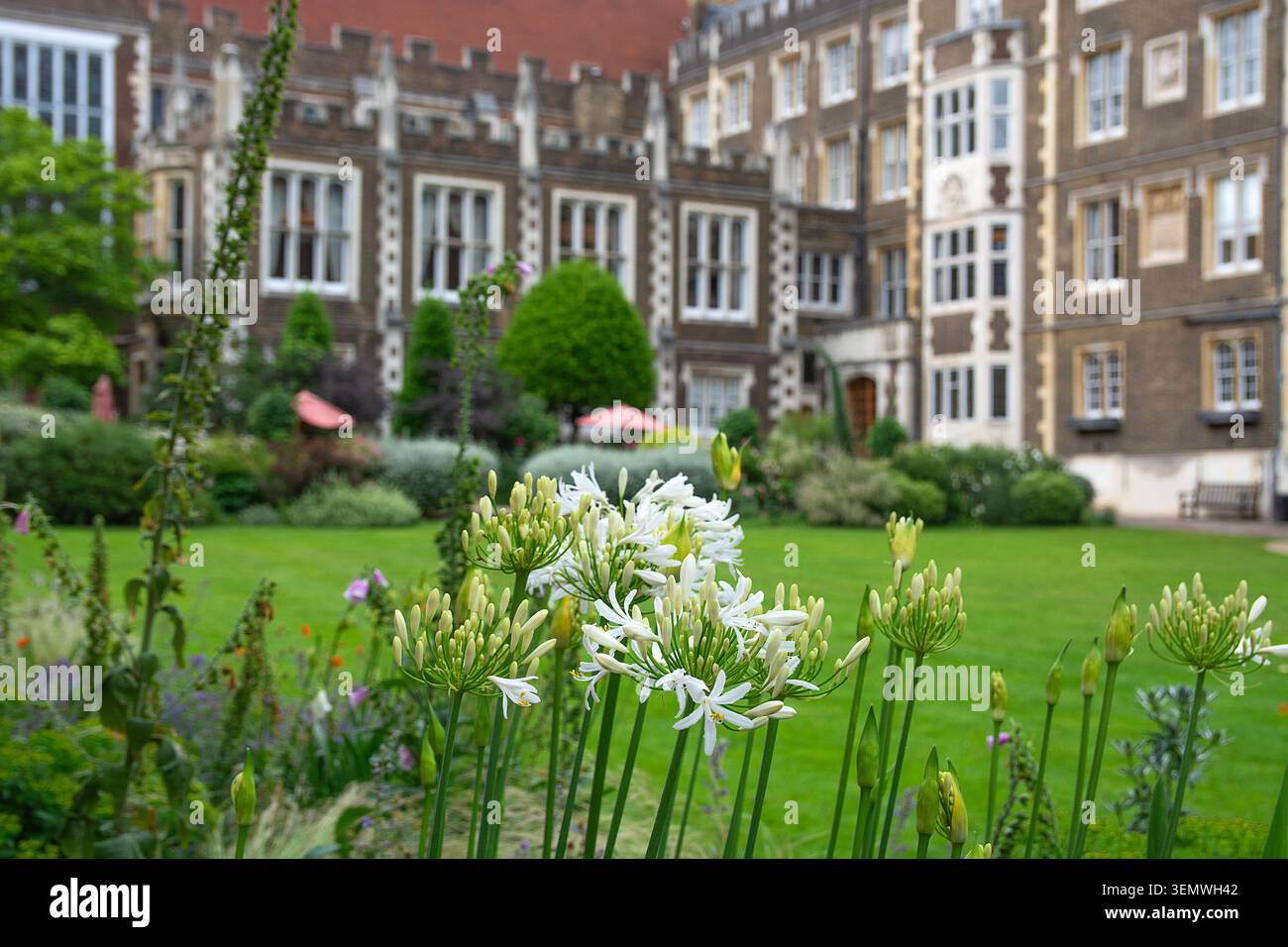 Middle Temple Gardens, London Open Gardens, London, 7th June, 2026, UK Stock Photo