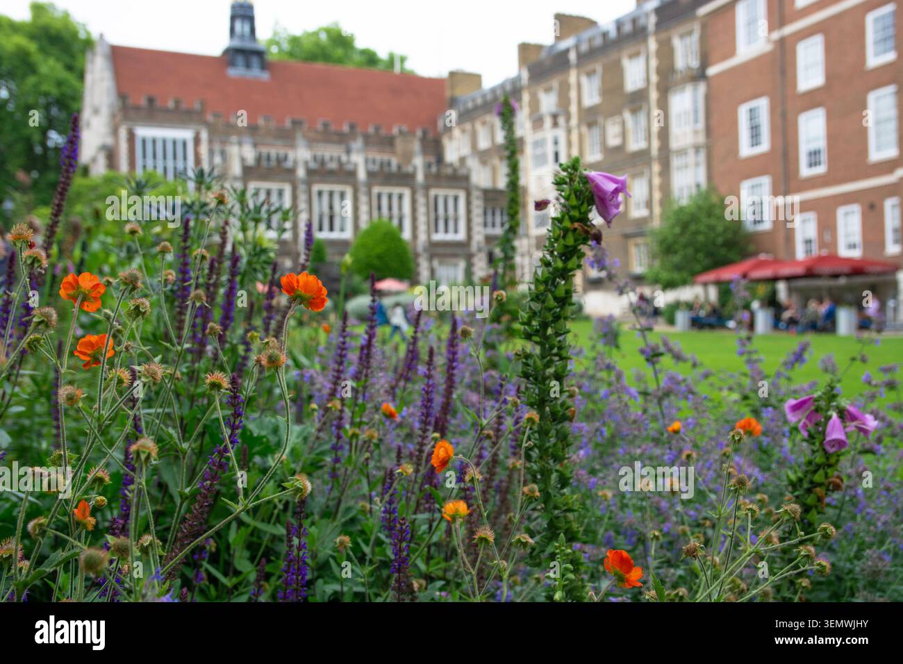 London Open Gardens, Middle Temple Gardens, London, 7th June, 2026, UK Stock Photo
