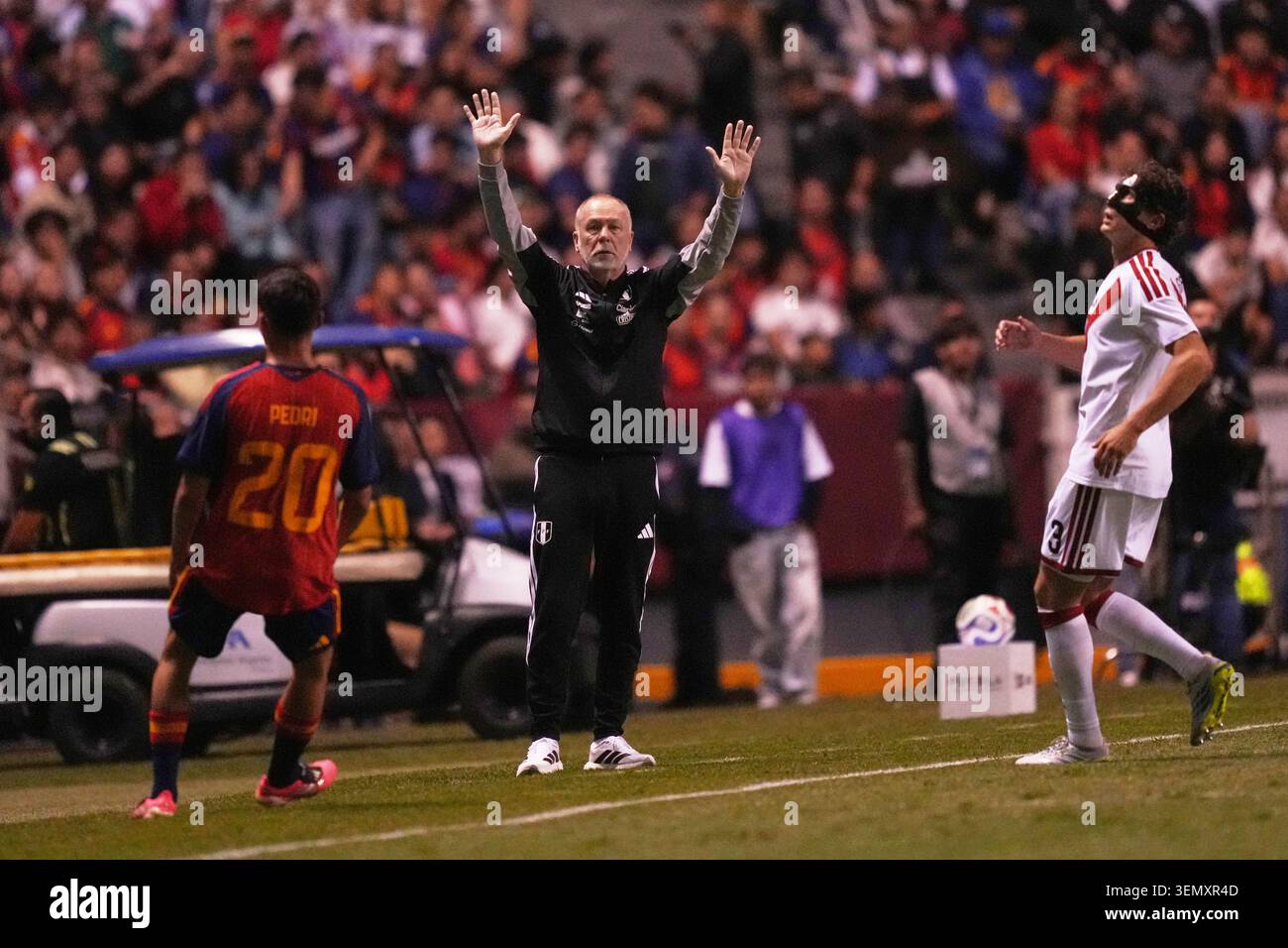 Peru's coach Mano Menezes, center, gives instructions during an ...