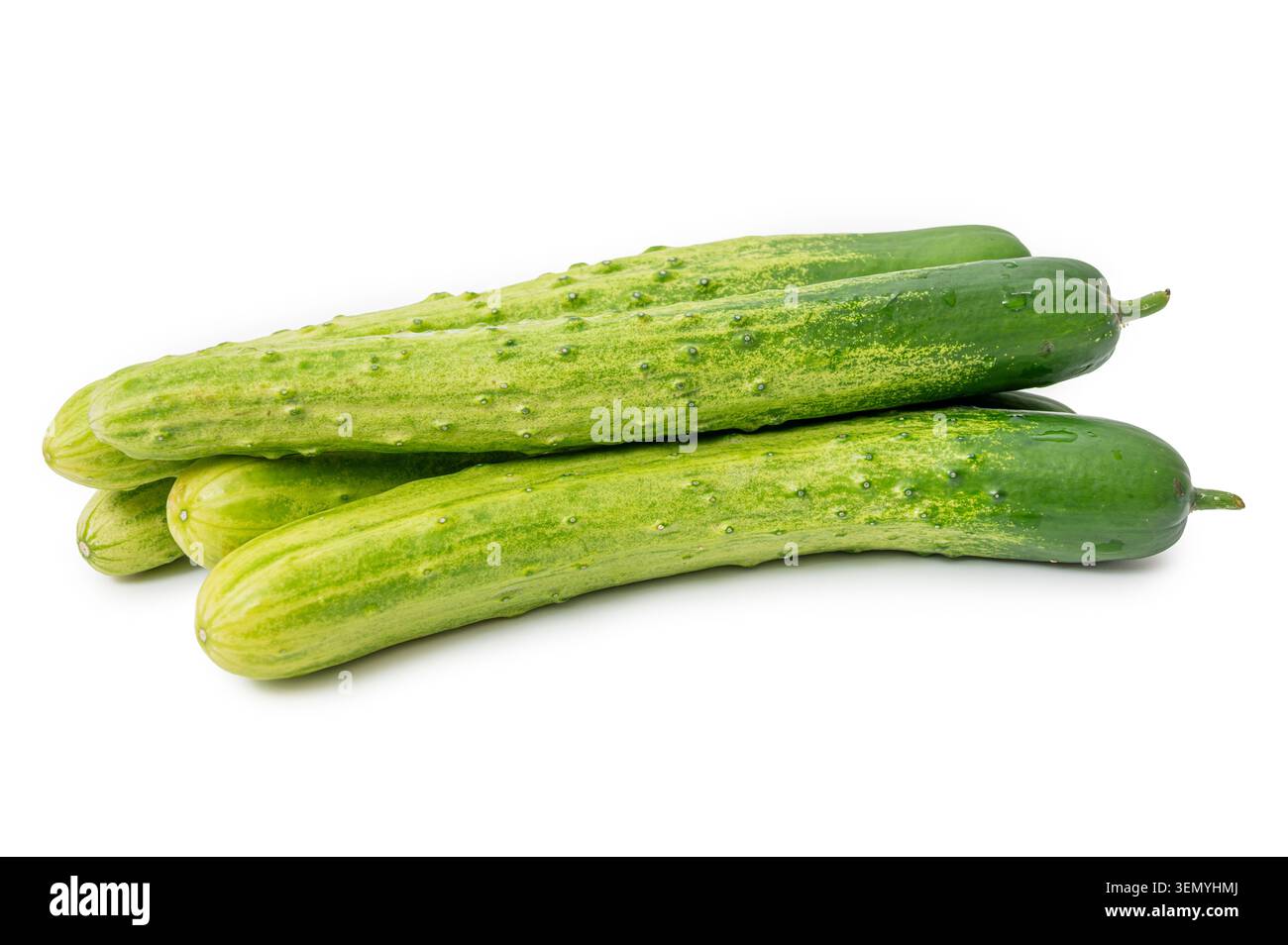 Fresh green cucumbers isolated on white background. Stock Photo
