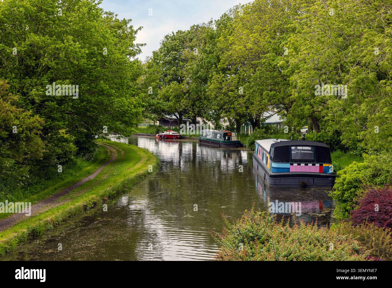 Tranquil waters and moored narrowboats on the historic Lancaster Canal at Galgate in Lancashire, North West England. Stock Photo