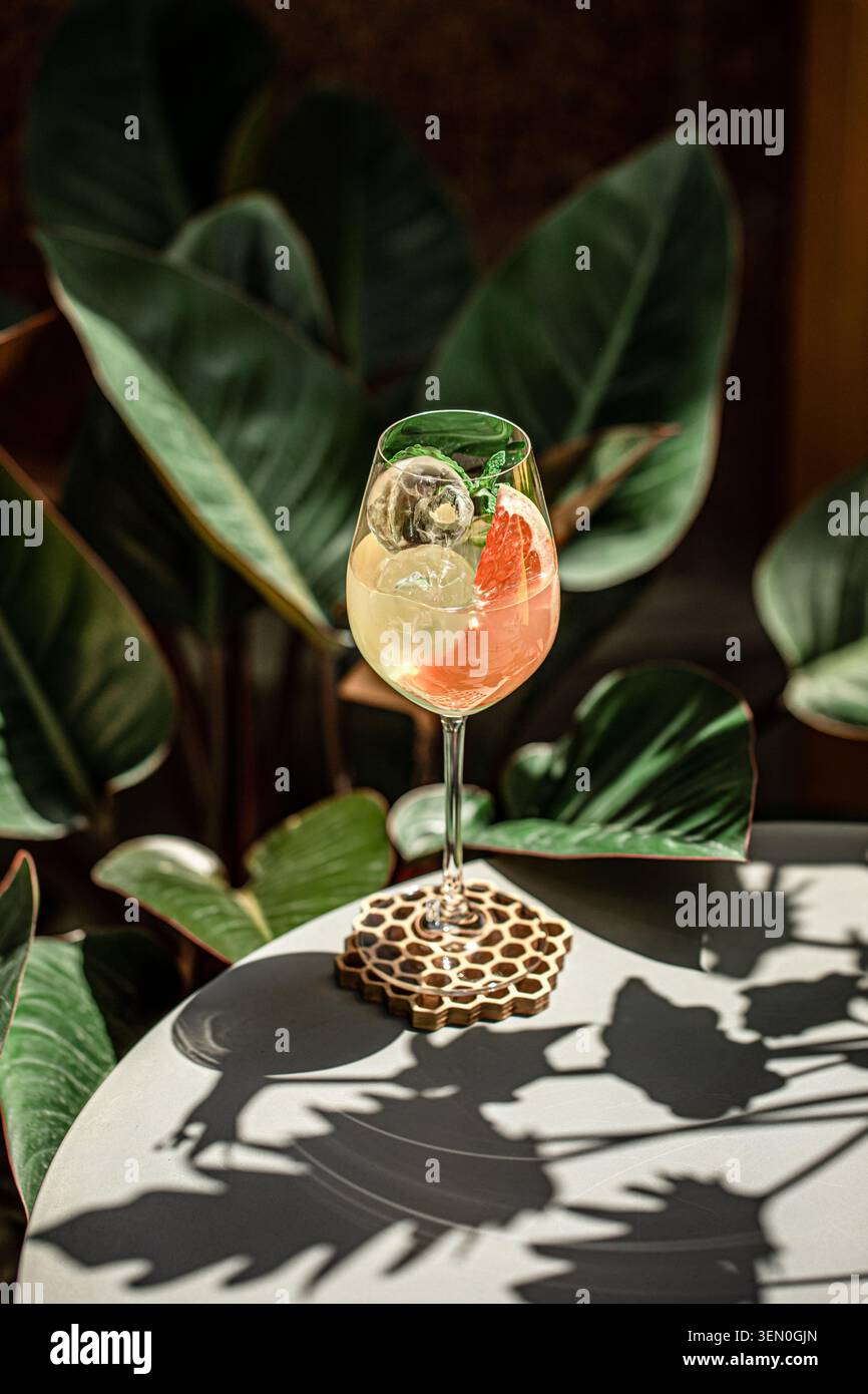 Refreshing citrus cocktail with grapefruit and mint Stock Photo