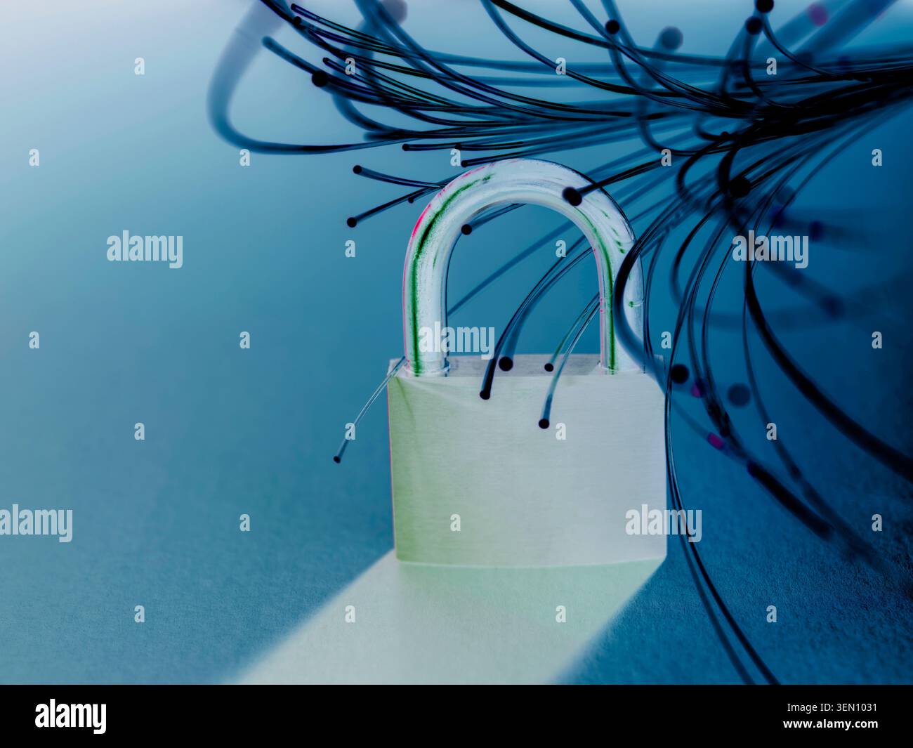 A padlock entangled with fiber optic cables on a reflective blue surface. Stock Photo