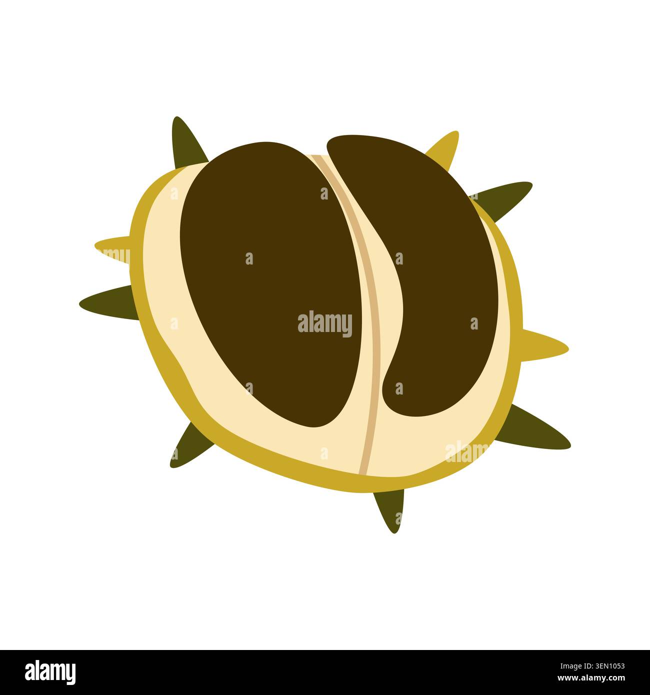 Autumn Chestnut Vector Illustration Flat Geometric Open Forest Seed Isolated Stock Vector