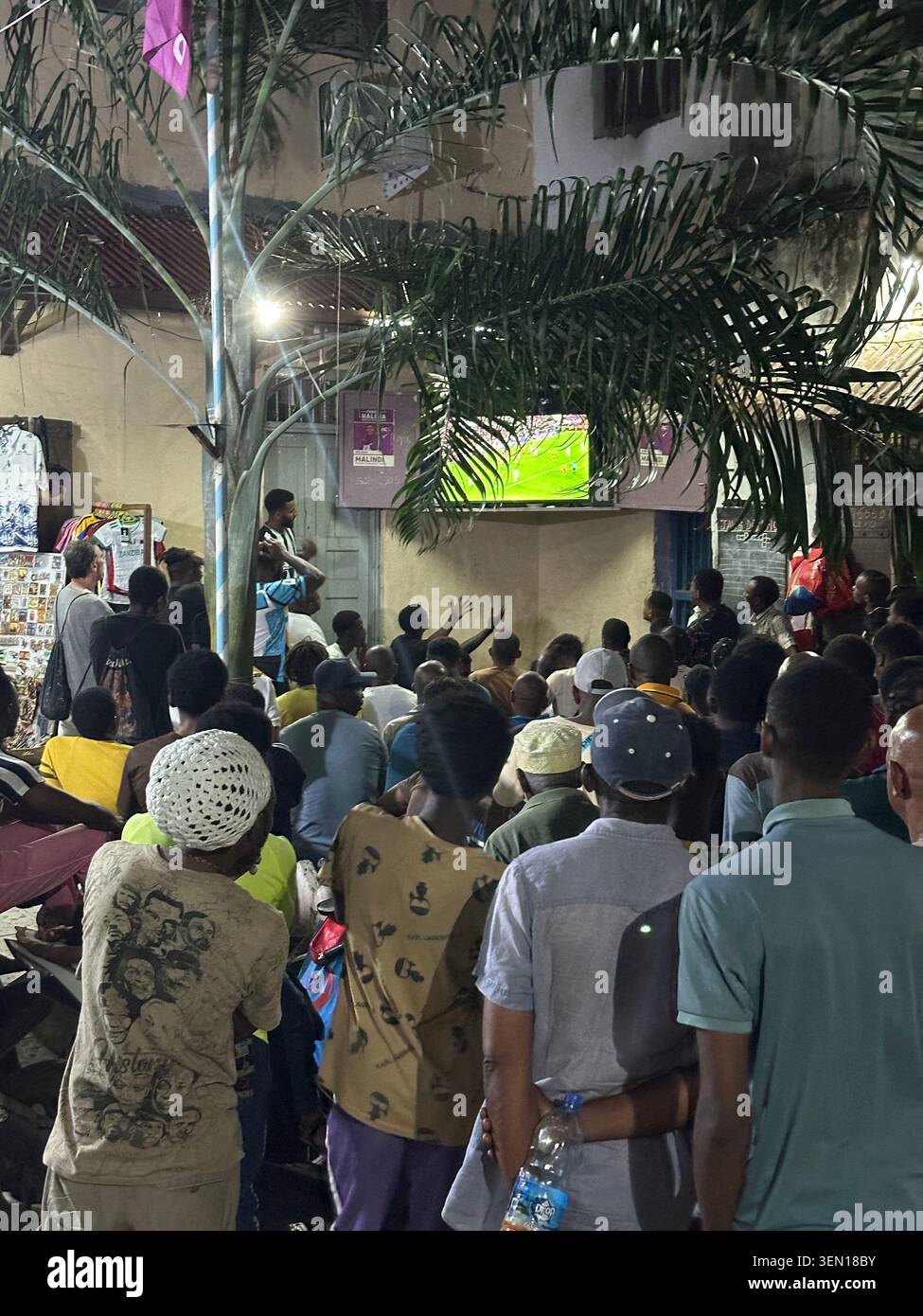 A large outdoor crowd gathers beneath palm trees to watch a live broadcast on a bright video screen. - Smartphone Captured Stock Image