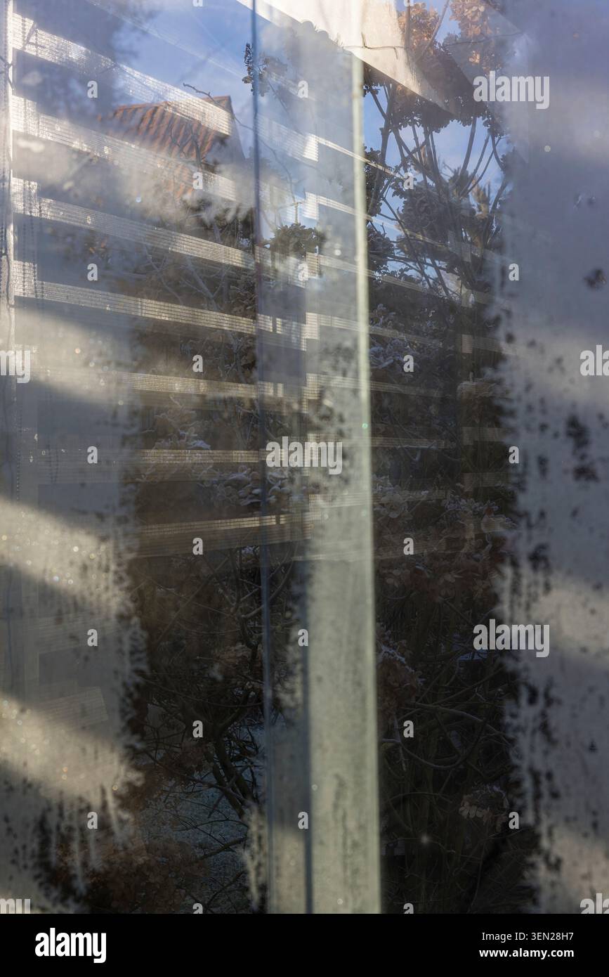 Moisture on a window pane Stock Photo