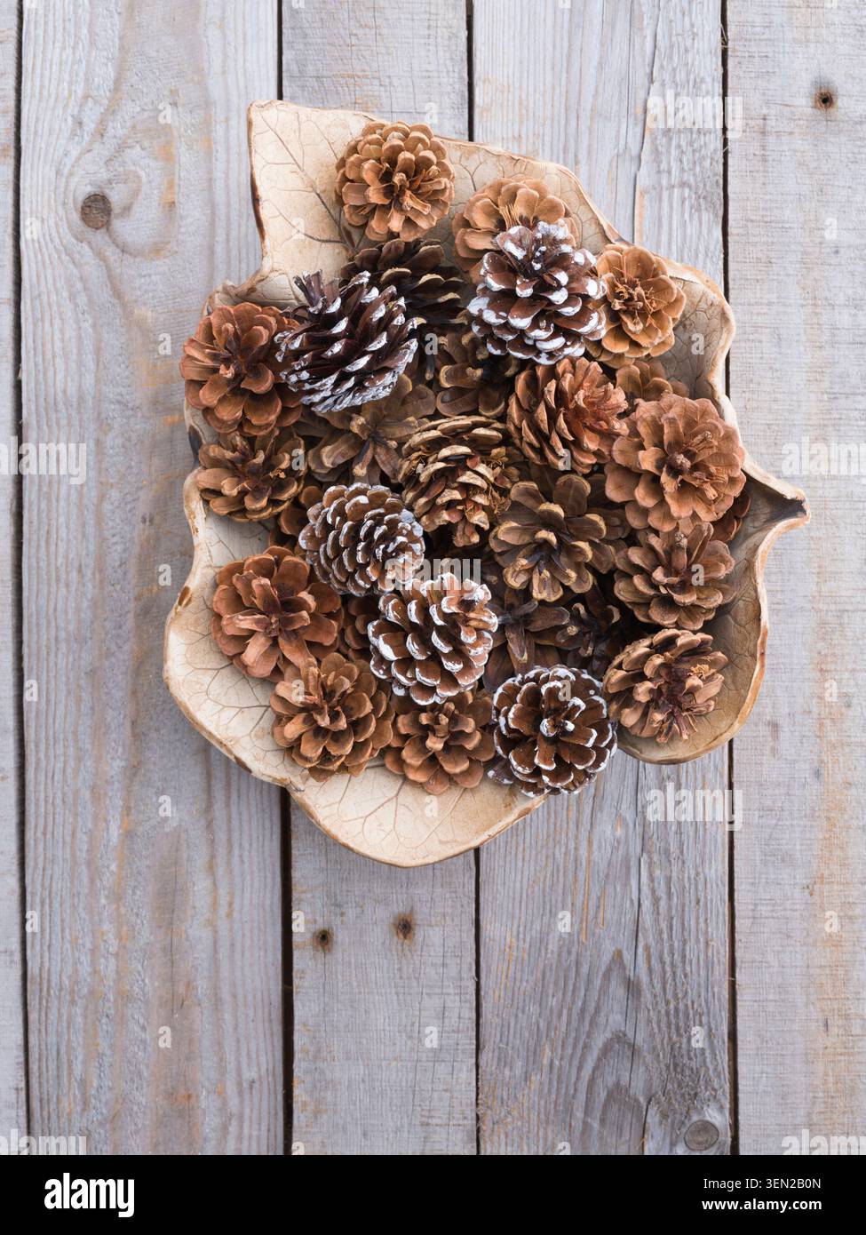 Pine cones in a leaf-shaped bowl Stock Photo