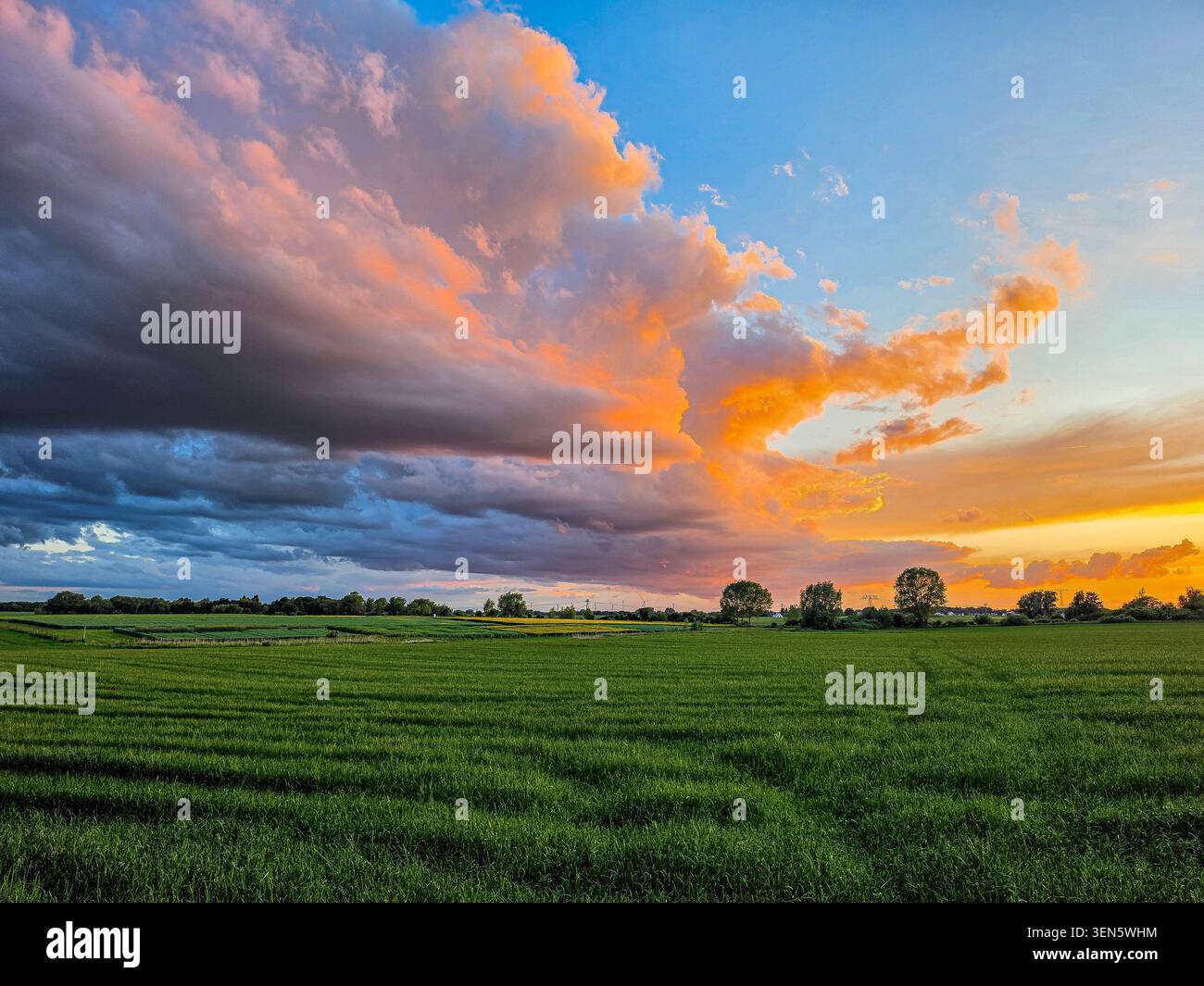 Vibrant rural landscape with lush green fields stretching toward the horizon beneath dramatic clouds lit by the setting sun Stock Photo