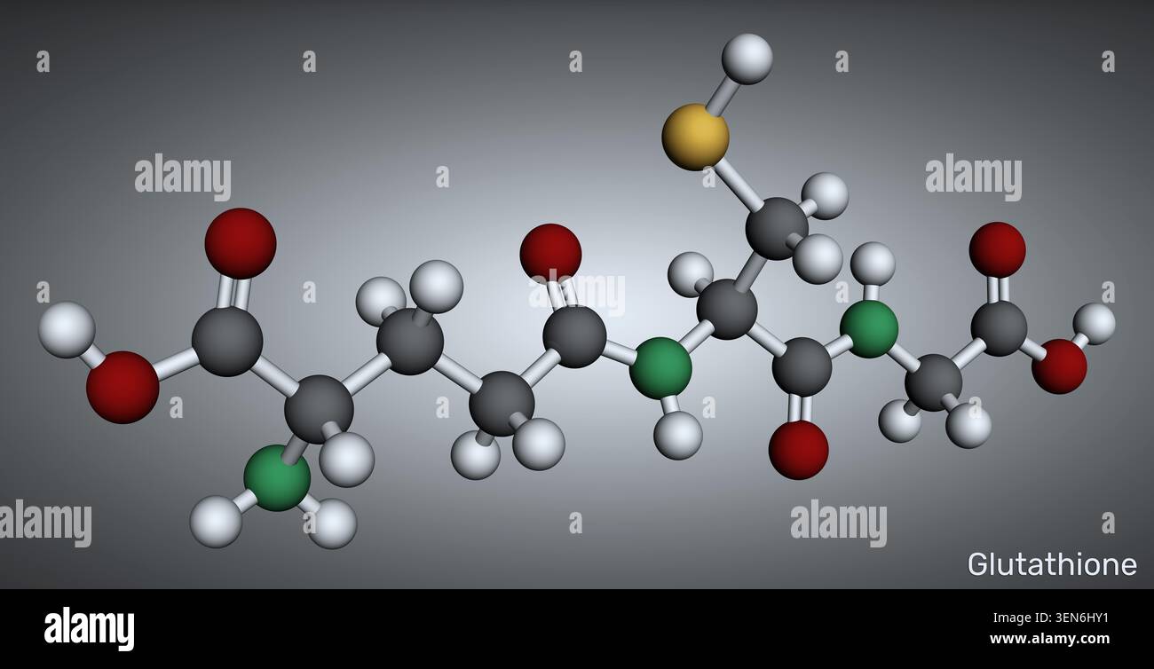 3d structure of glutathione Rendering Word Chemical Glutathione gsh hi-res stock photography