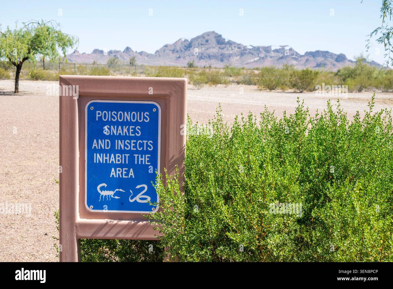 Goodyear Phoenix Arizona,Interstate 10 I-10,poisonous snakes and ...