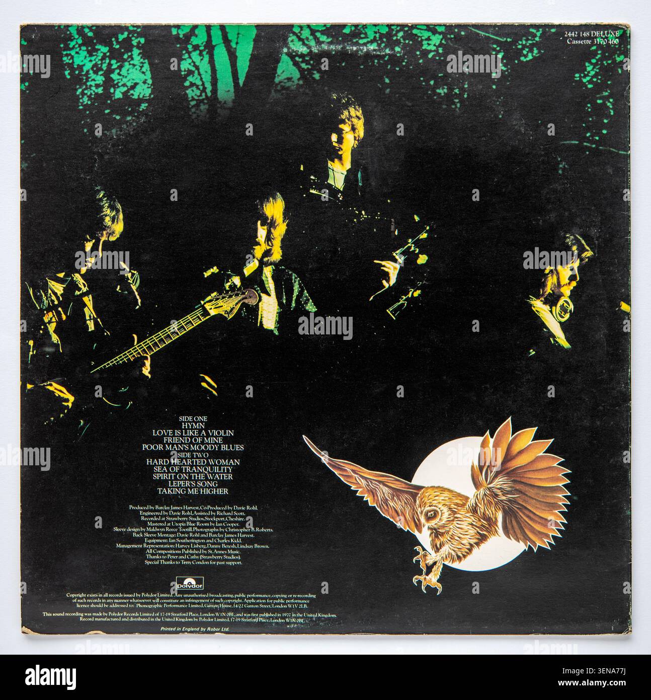 LP cover of Gone to Earth, the eighth studio album by progressive